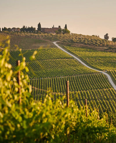 MONTALCINO: BRUNELLO, PER FAVORE