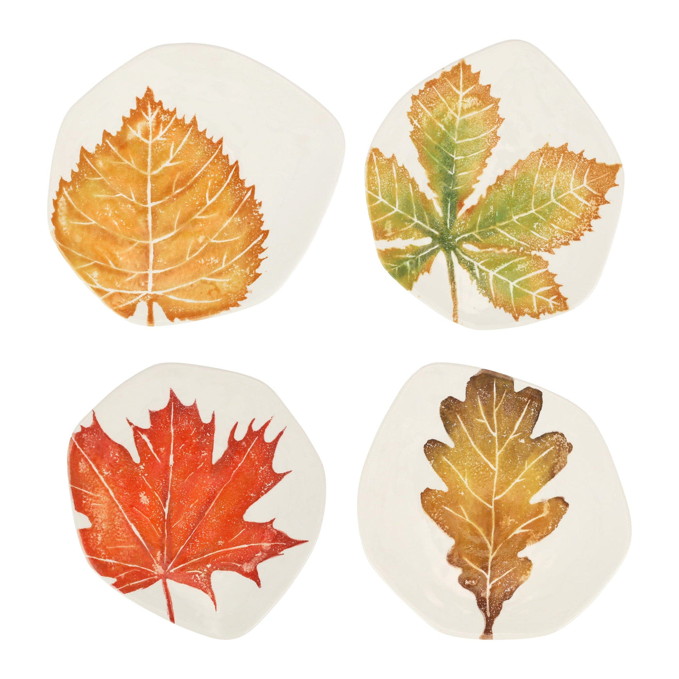 Autunno Assorted Salad Plates - Set of 4