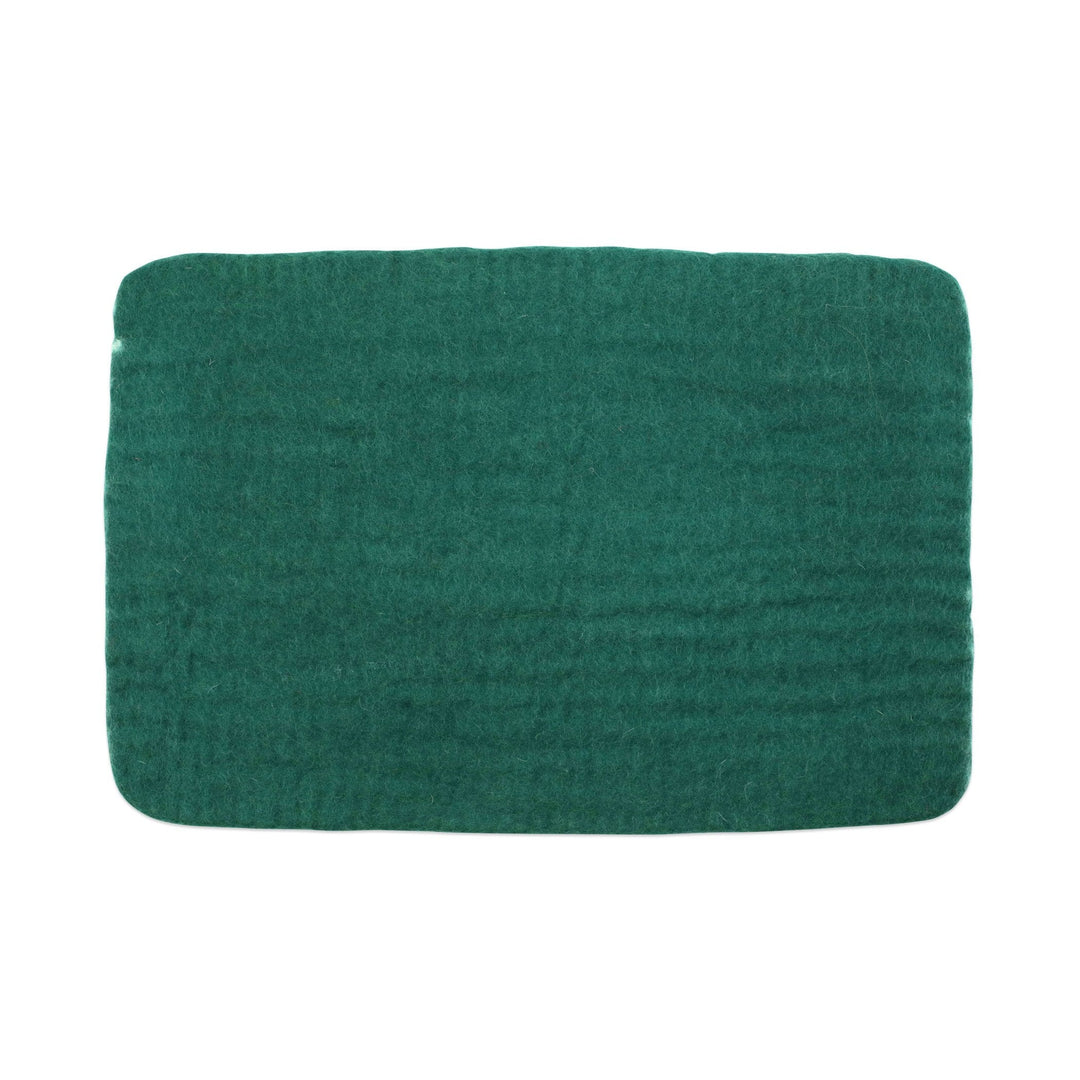 Pecora Green Rectangular Placemat - Set of 4