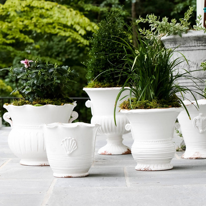 Rustic Garden White Large Scallop Planter